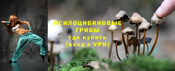 молекула духа Абинск