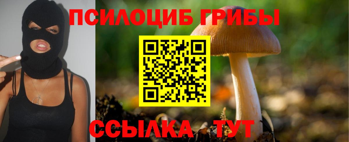 Галлюциногенные грибы Psilocybine cubensis Алексин